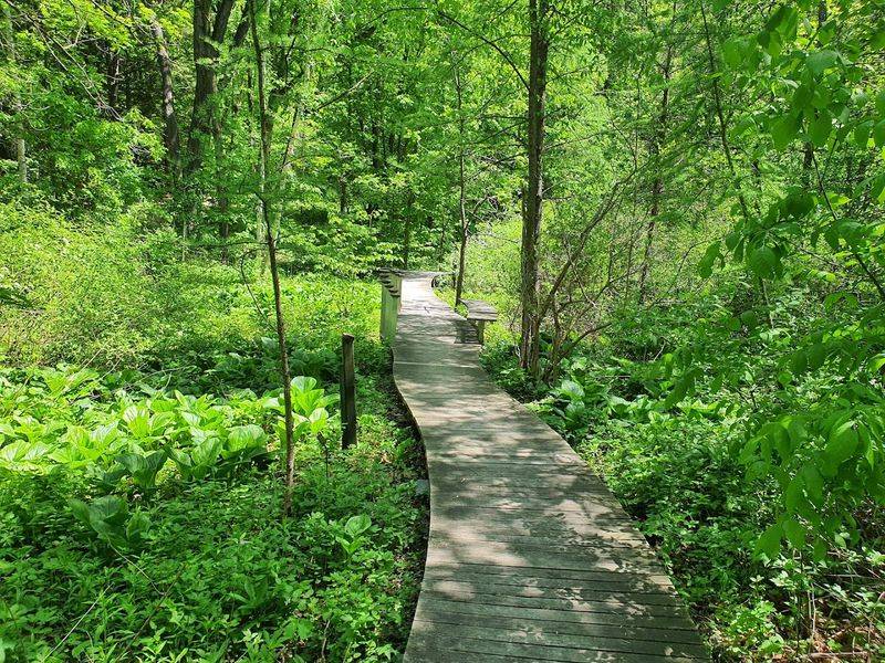 The Oldest Public Wildflower Garden in the United States