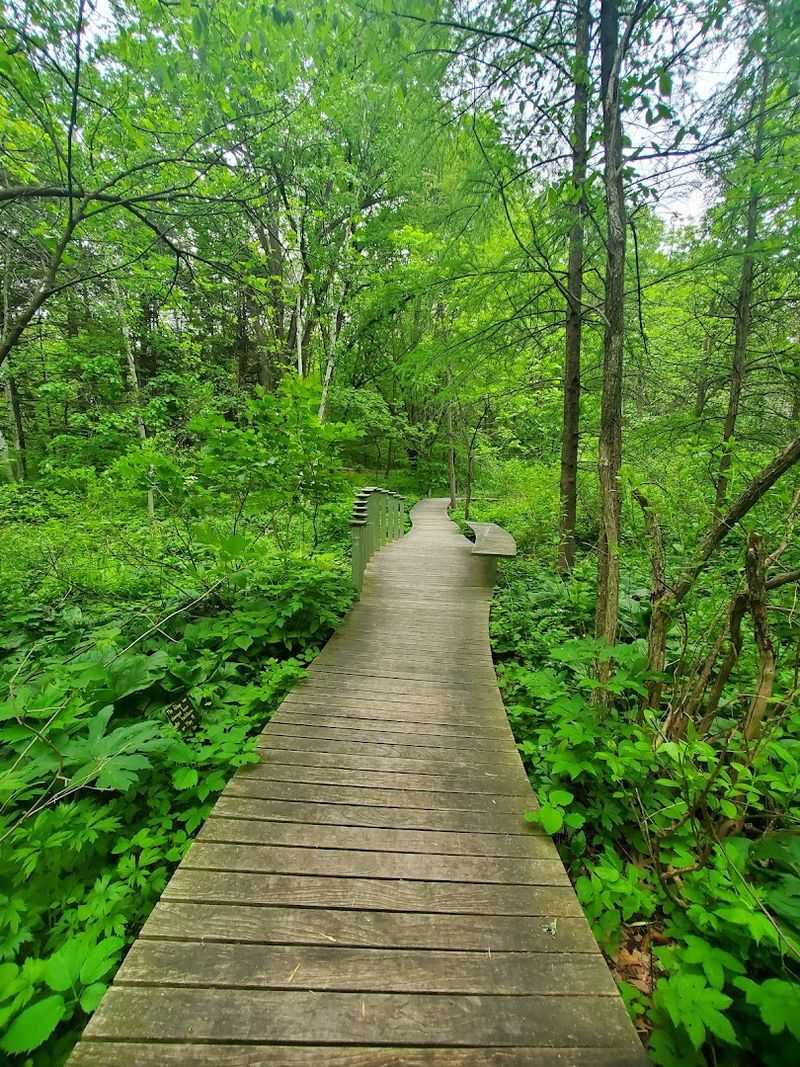 The Eloise Butler Wildflower Garden: A Living Treasure at the Heart of the Trail