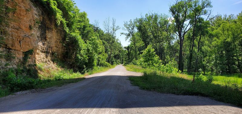Wildlife Encounters Around Every Bend