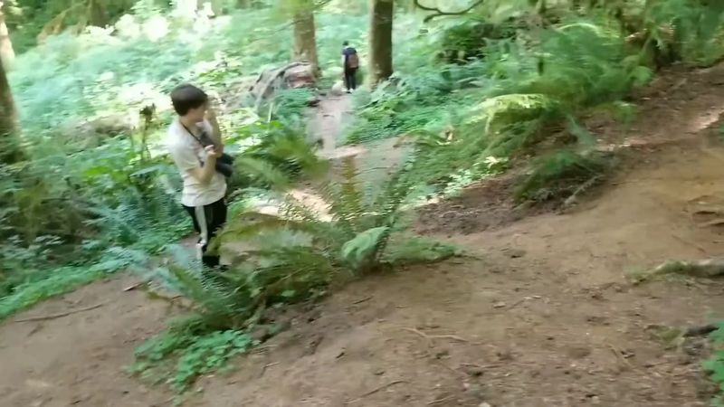 Wildlife Sightings Along the Trail