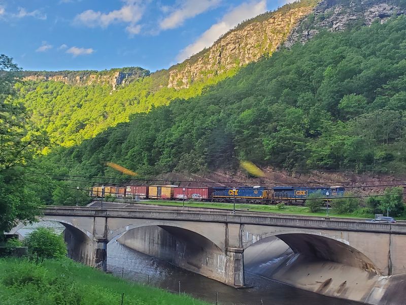 Planning Your Visit: What to Know Before You Go
