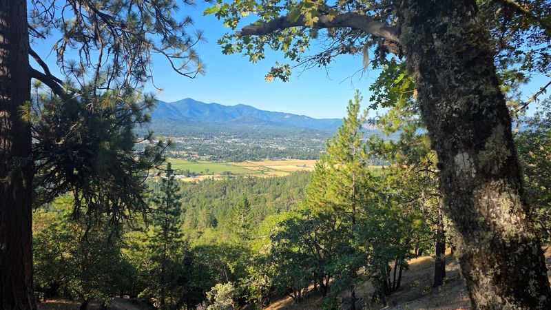 Wildlife and Nature Along the Trail