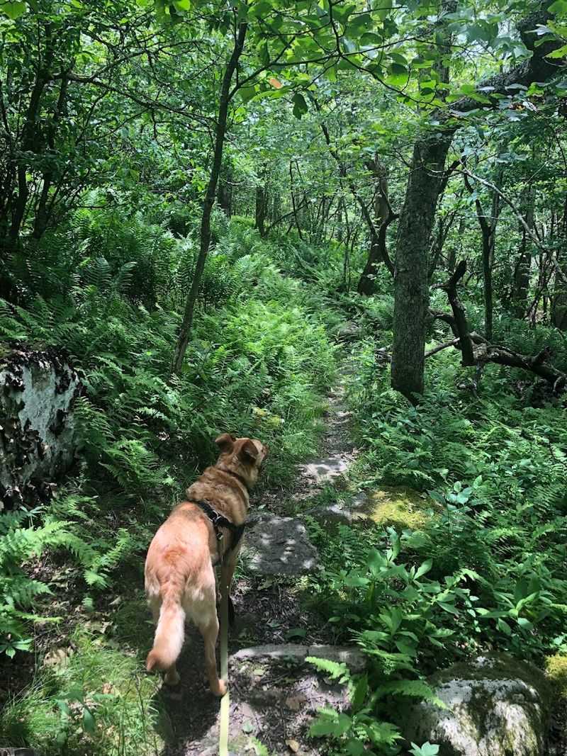Wildlife and Wilderness Around Every Trail Bend