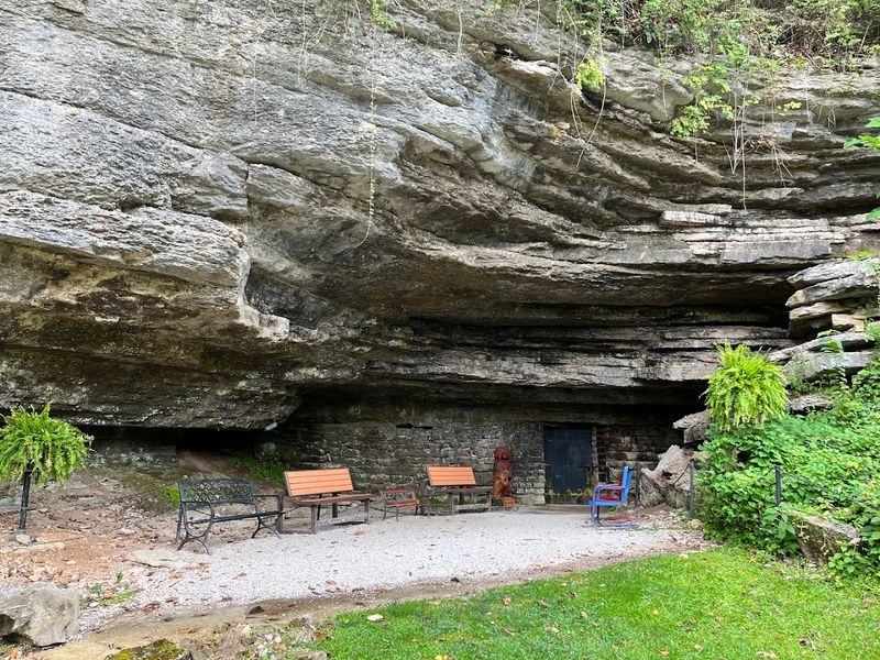 Family-Friendly Accessibility and Atmosphere