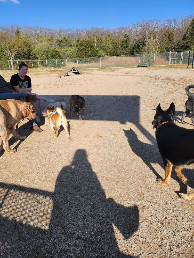 The Dog Park That Keeps Four-Legged Visitors Happy