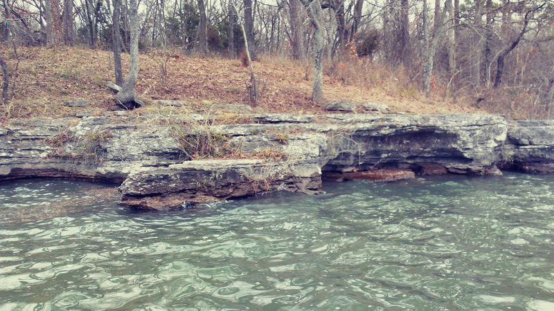 Wildlife Watching Adds Another Layer to Every Visit