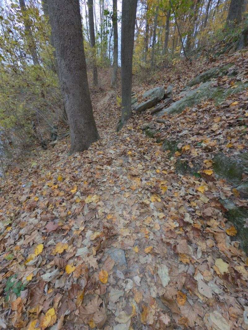 Getting There Without Getting Lost