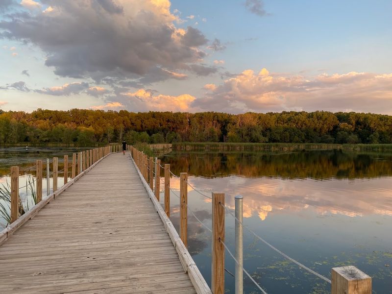 Why This Place Feels Wild Despite Being In The City