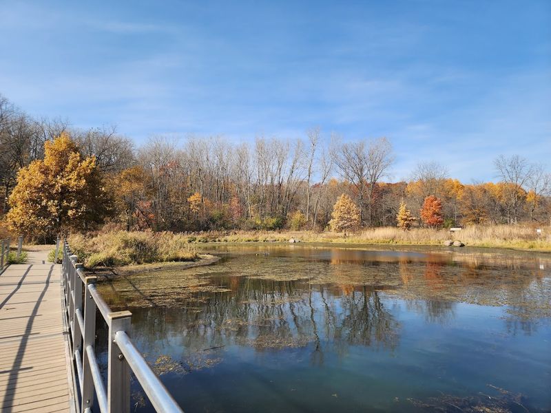 The Scenic Pond at the Heart of the Park
