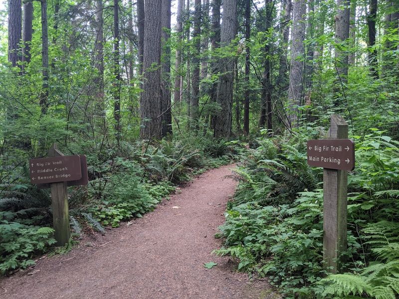 Horses, Dogs, and Humans All Welcome