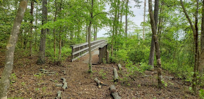 What To Wear and When To Go for the Best Experience