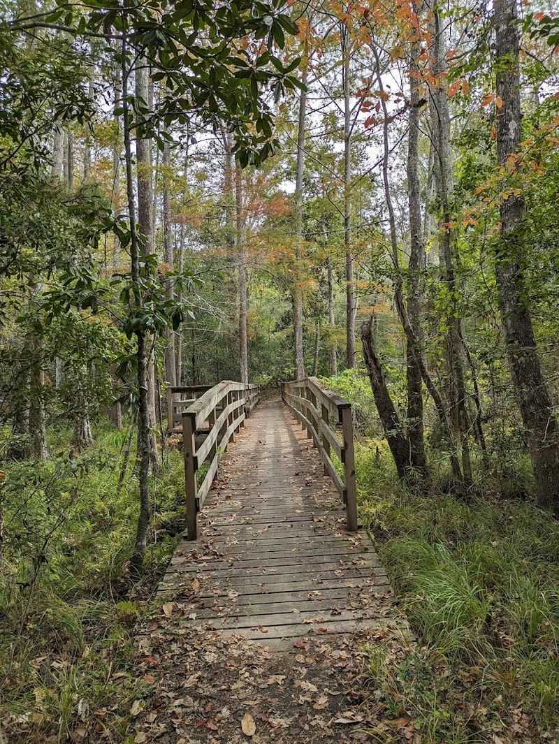 The Walnut Paddling Trail: A Loop Around the Camping Unit