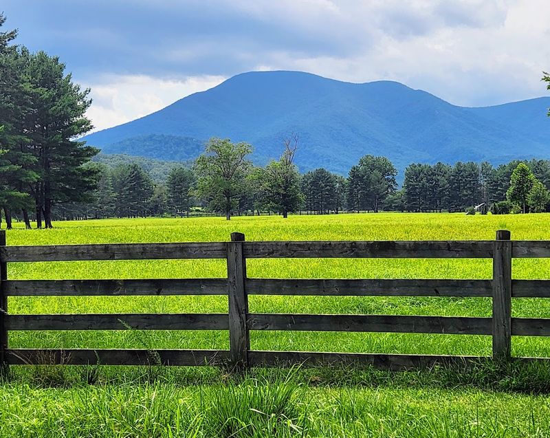 Route 151: The Crown Jewel of Nelson County's Scenic Byways