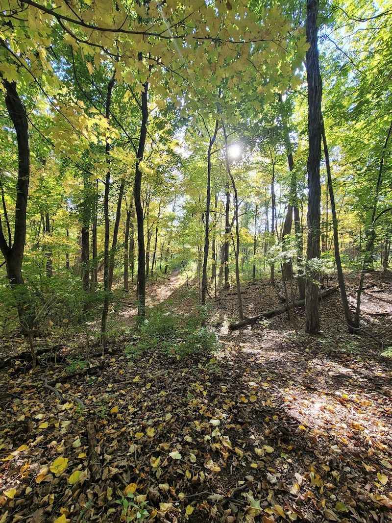 The Trails That Never Get Old: Exploring 7.5 Miles of Marked Paths The Trails That Never Get Old: Exploring 7.5 Miles of Marked Paths