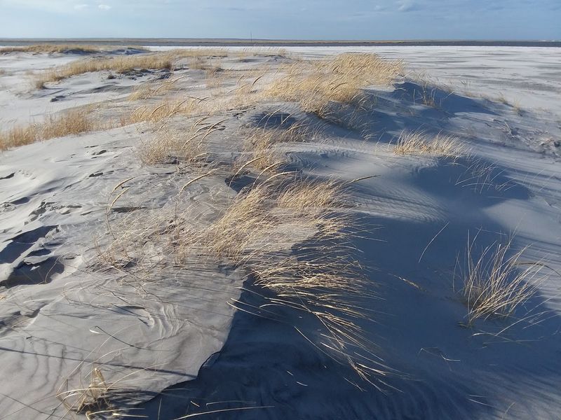 The Dunes That Make You Question Everything You Know About New Jersey