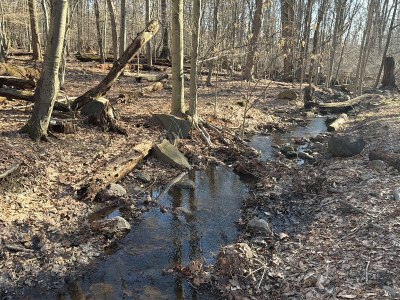 Planning Your Visit: Hours, Tips, and Getting There