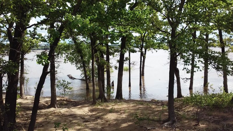 Wildlife Around the Lake Is Plentiful and Worth Watching