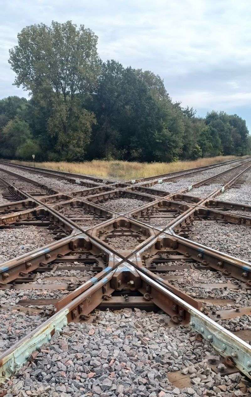 The Erie Lackawanna Trail Connects History to the Present