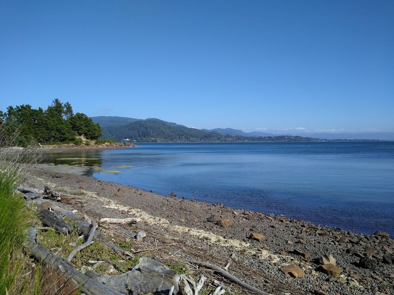 Tillamook Bay Side: Birds and Bay Views