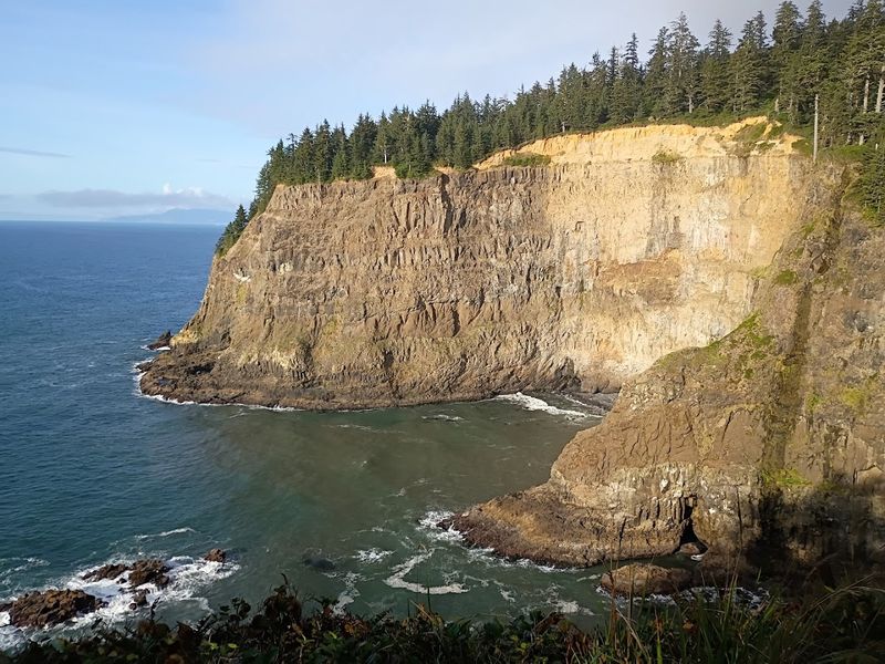Seabird Watching on the Rocky Cliffs