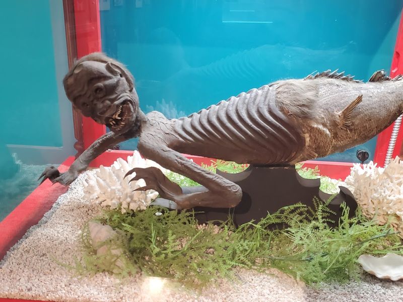 Shrunken Heads and Ancient Artifacts on Display