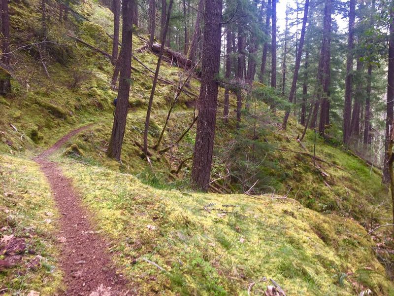 14.5 Miles of Solitude You Will Not Forget