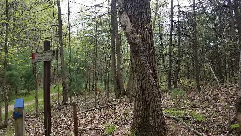 The Three Trails That Each Tell a Different Story