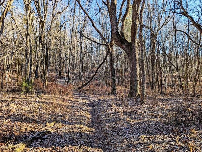 Winter Hiking at Bottom Creek Is a Whole Different World