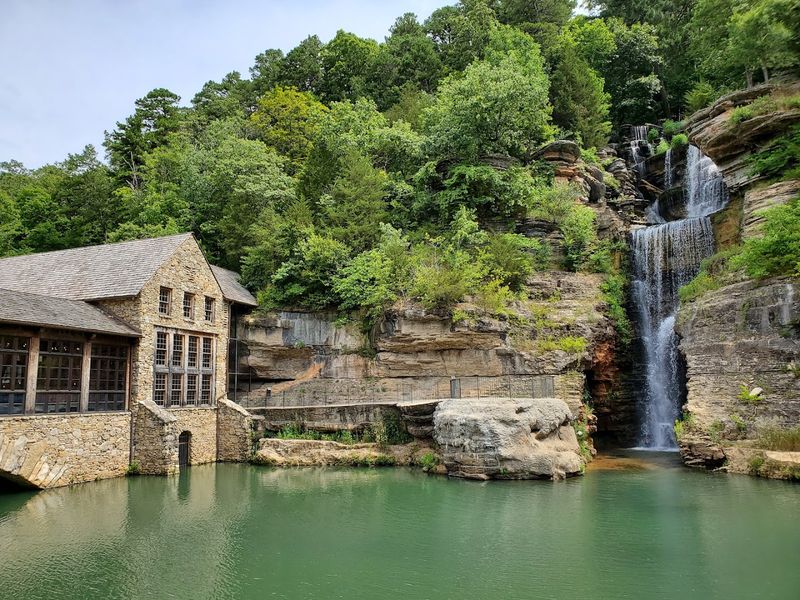 Conservation Mission and the Non-Profit Model