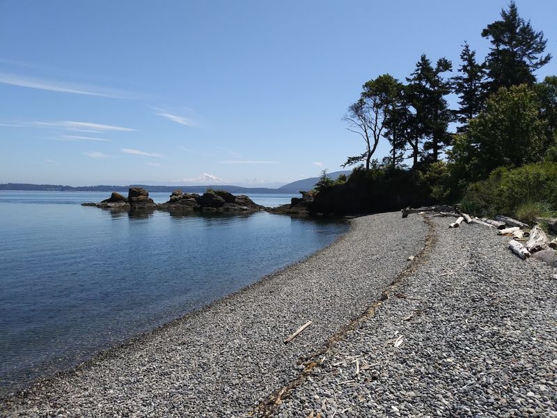 The Rusty Spikes From Tugboats Long Gone