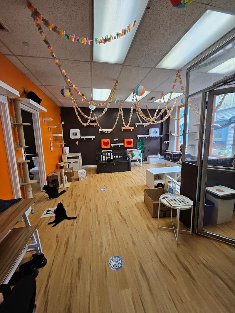 A Brick Road Alleyway Leading To The Cat Lounge