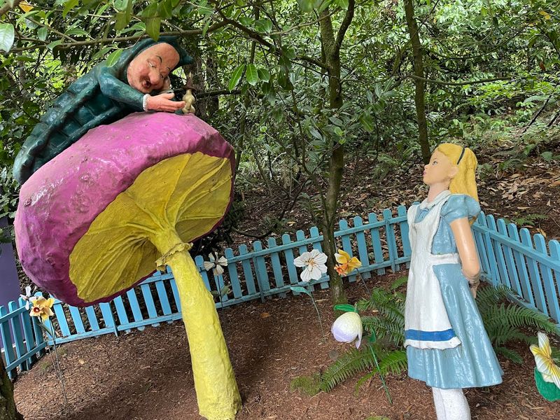 Storybook Trail Through the Forest
