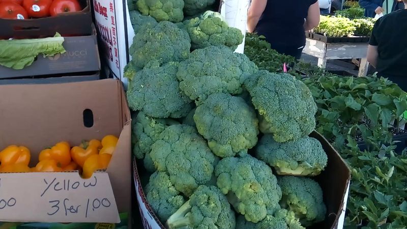 A Five Generation Family Legacy Without Interruption