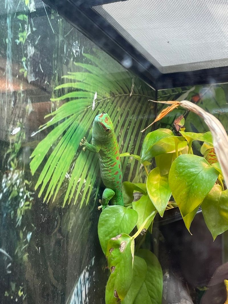 A Gift Shop That Actually Has Personality