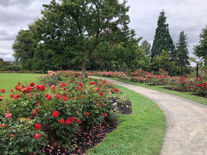 Peaceful Walking Paths Along the Garden