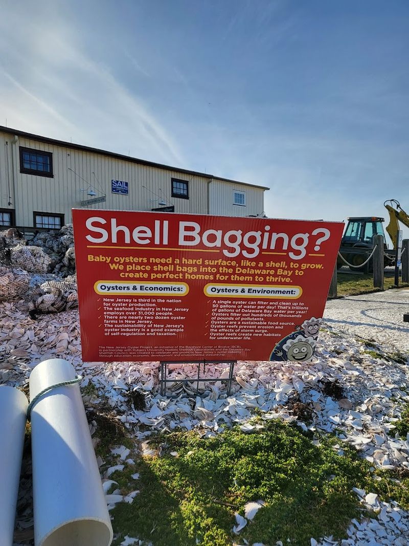 Planning Your Visit to Bivalve: What to Expect When You Arrive