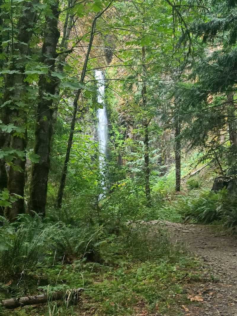 Understanding the 4.4-Mile Round Trip Distance