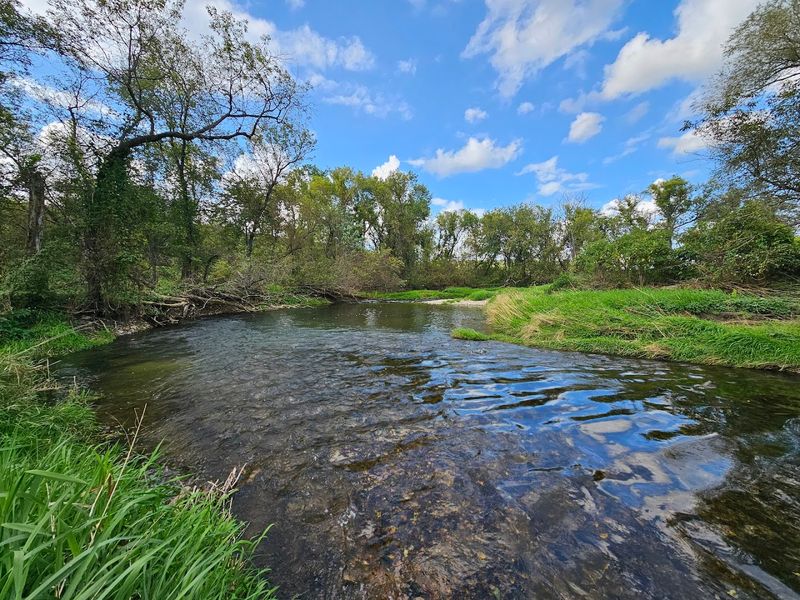Fly Fishing the South Branch of the Root River