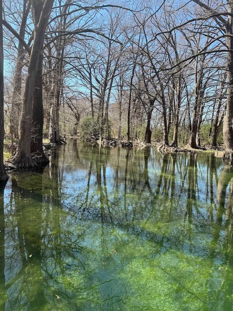 The Blue Hole: Glen Rose's Favorite Natural Swimming Spot