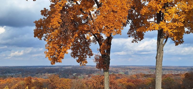 Fall Foliage That Puts Brown County on the Map