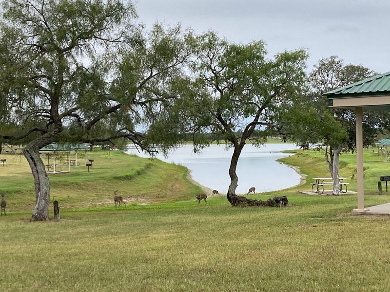 Wildlife and Nature Along the Trails: More Than Just Scenery