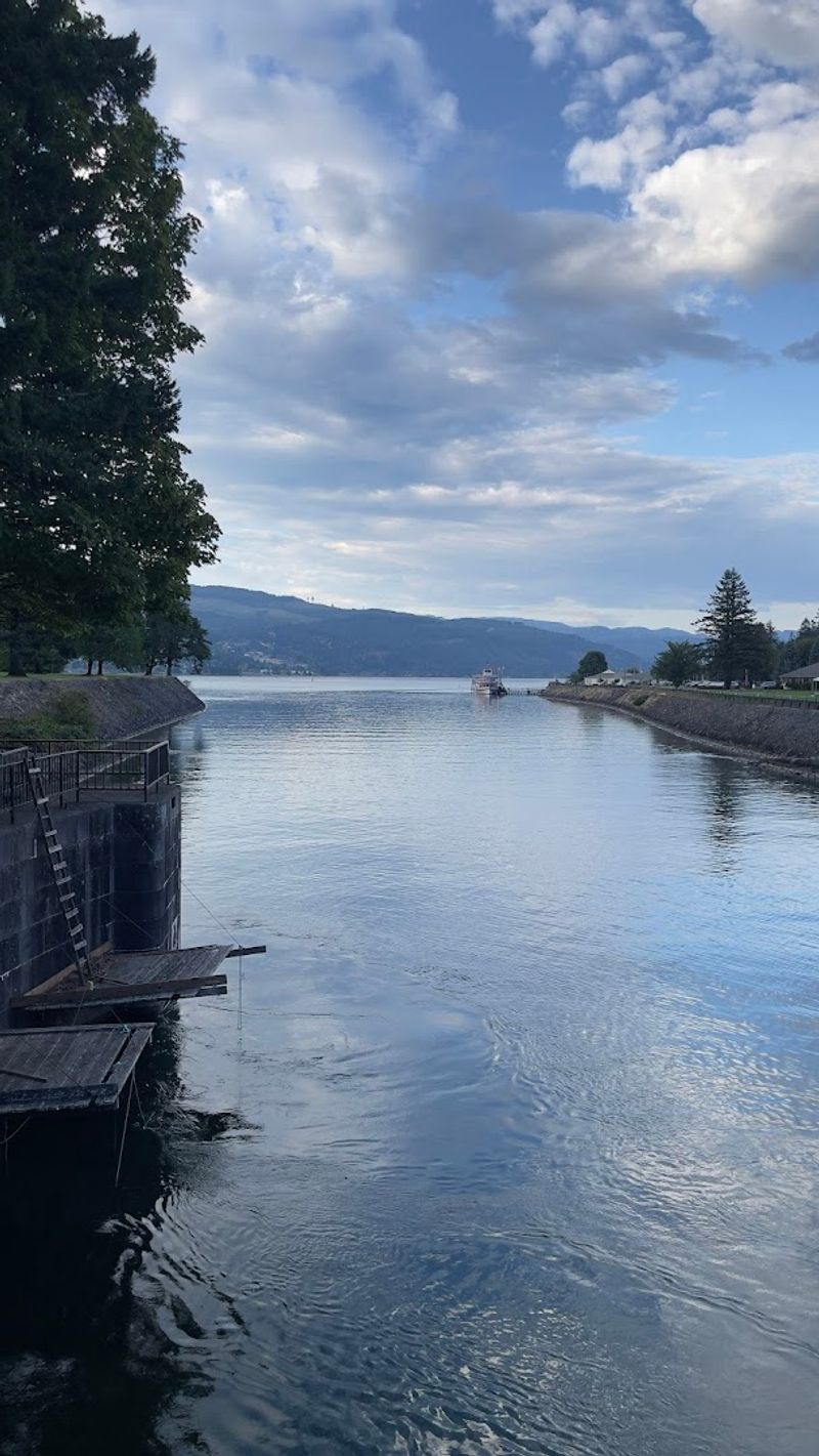 A Small Island With Big River Energy