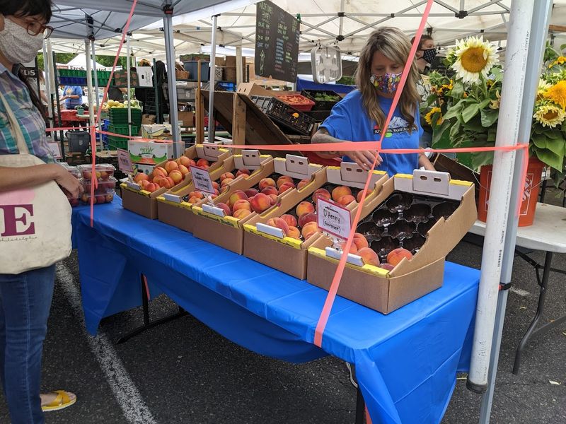 Coffee and Specialty Drinks to Fuel the Browse