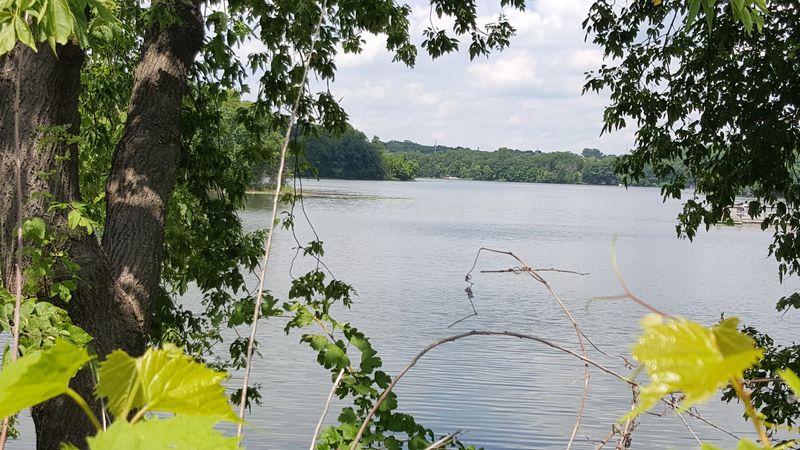 Where Mitchell Lake Actually Sits