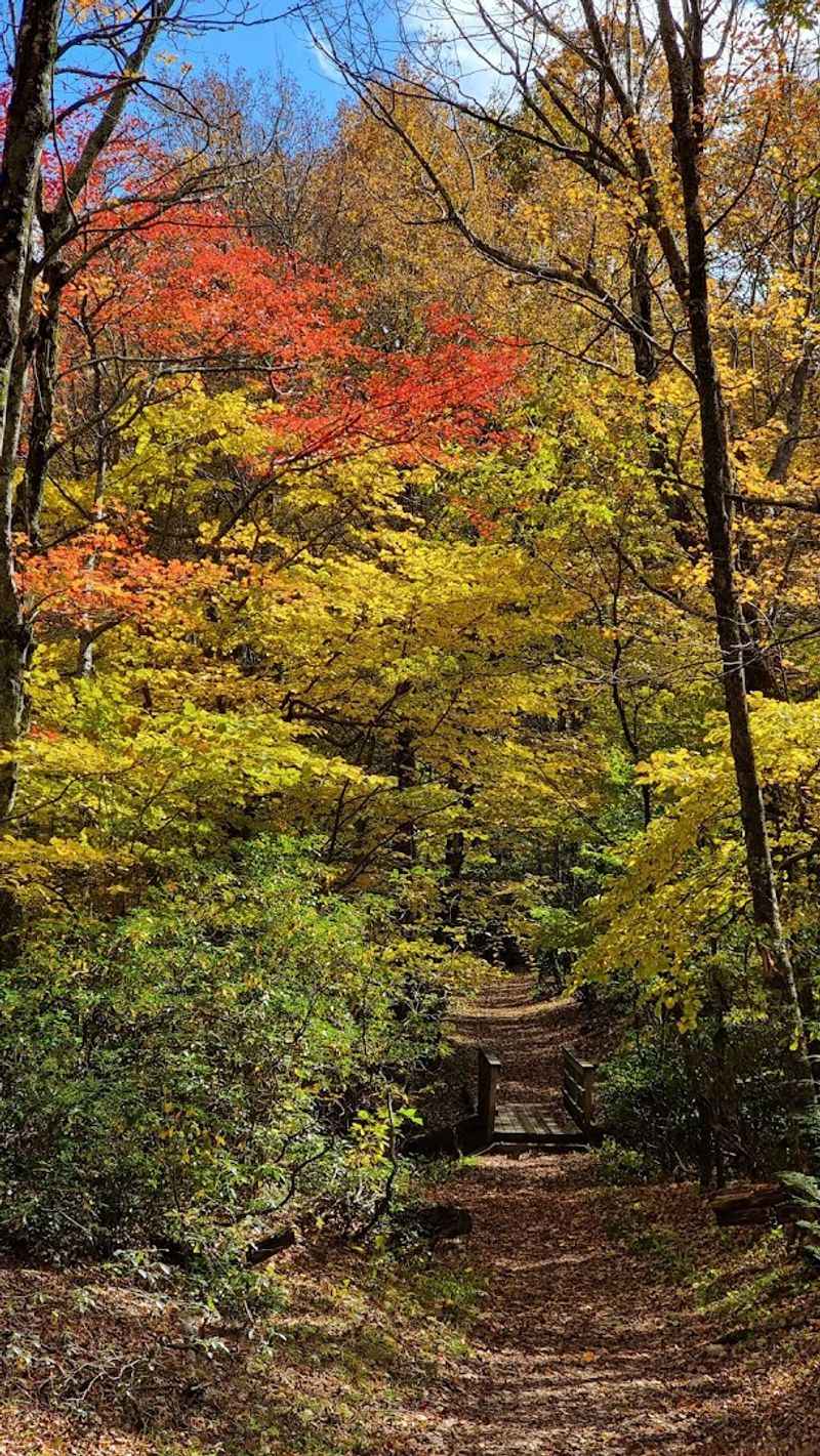 Seasonal Variety Keeps It Fresh Year Round