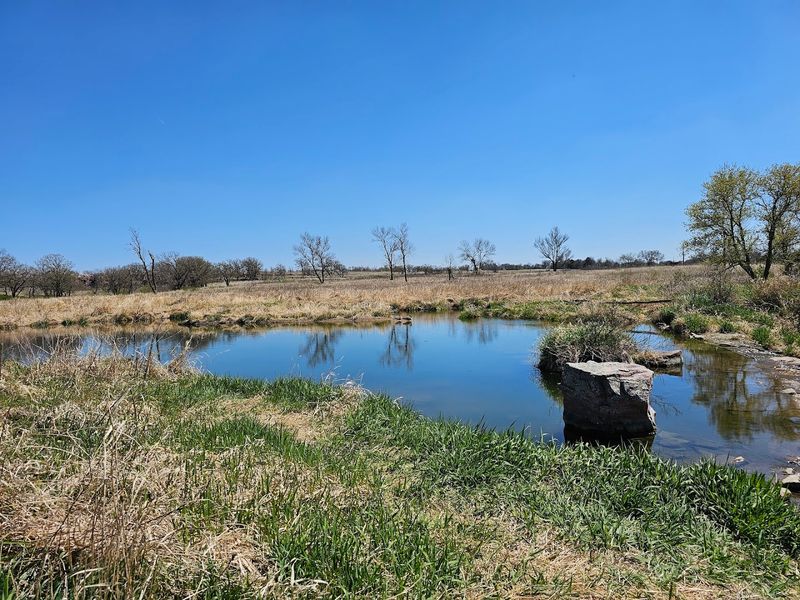 The Picnic Area and Lake Views