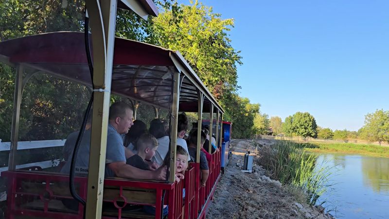 Pedal Boats on the Farm Lake for a Slower Kind of Fun
