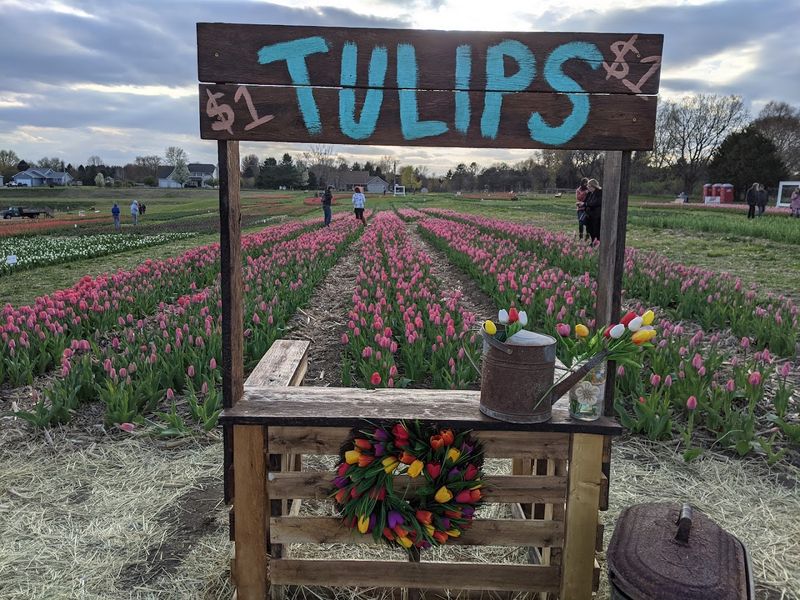 Weekend Energy Changes The Atmosphere Fast