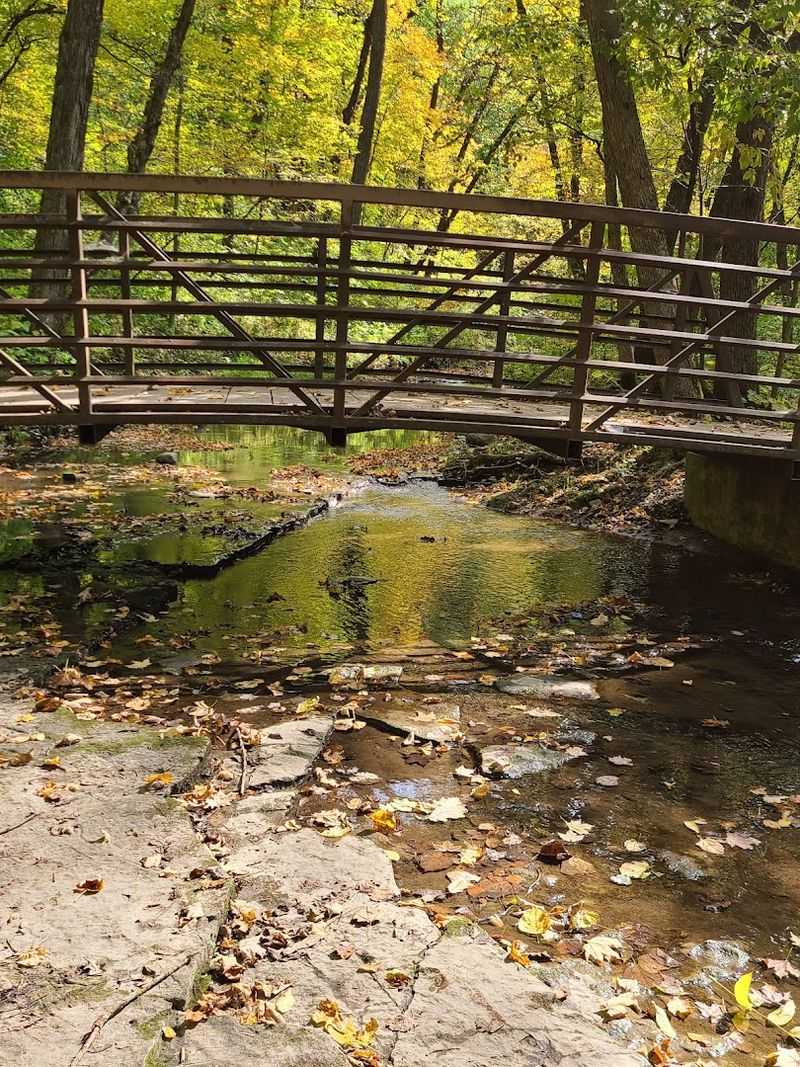 What a Fall Visit Looks Like Here