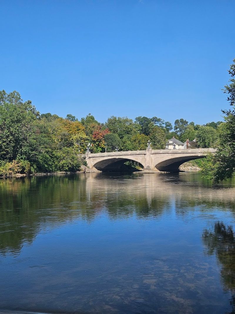 The Leeper Park Art Fair and Community Events